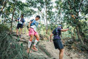 BIB: 
                            <button type="button" onclick="openModal(25978756)" class="btn btn-primary btn-sm float-right btn-popup" data-toggle="modal" data-target=".modal-high-quality">
                        <i class="fas fa-shopping-cart"></i> Add to Cart
                    </button>
                                            <button type="button" onclick="isThisMe(25978756, true)" class="btn btn-success btn-sm float-right btn-popup btn-isme hidden" data-toggle="tooltip" data-placement="bottom" title="นี่คือรูปของคุณใช่ไหม คลิกที่นี่เพื่อเอาเข้าอัลบั้ม">
                        <i class="fas fa-plus"></i> Add to album
                    </button>
                    <button type="button" onclick="isThisMe(25978756, false)" class="btn btn-warning btn-sm float-right btn-popup btn-isnotme hidden">
                        <i class="fas fa-ban"></i> Remove from album
                    </button>